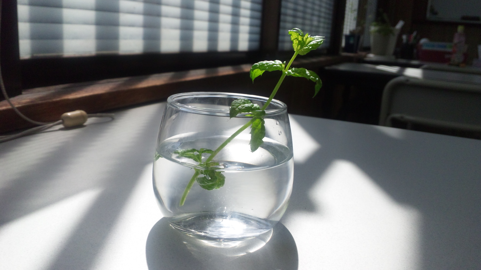 水挿しです！