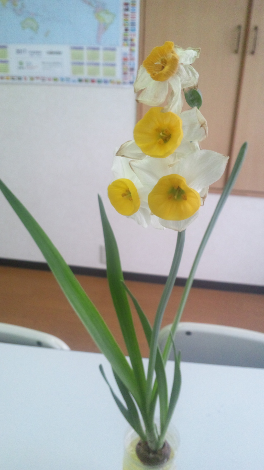 ときわ校２月イベント（再掲）