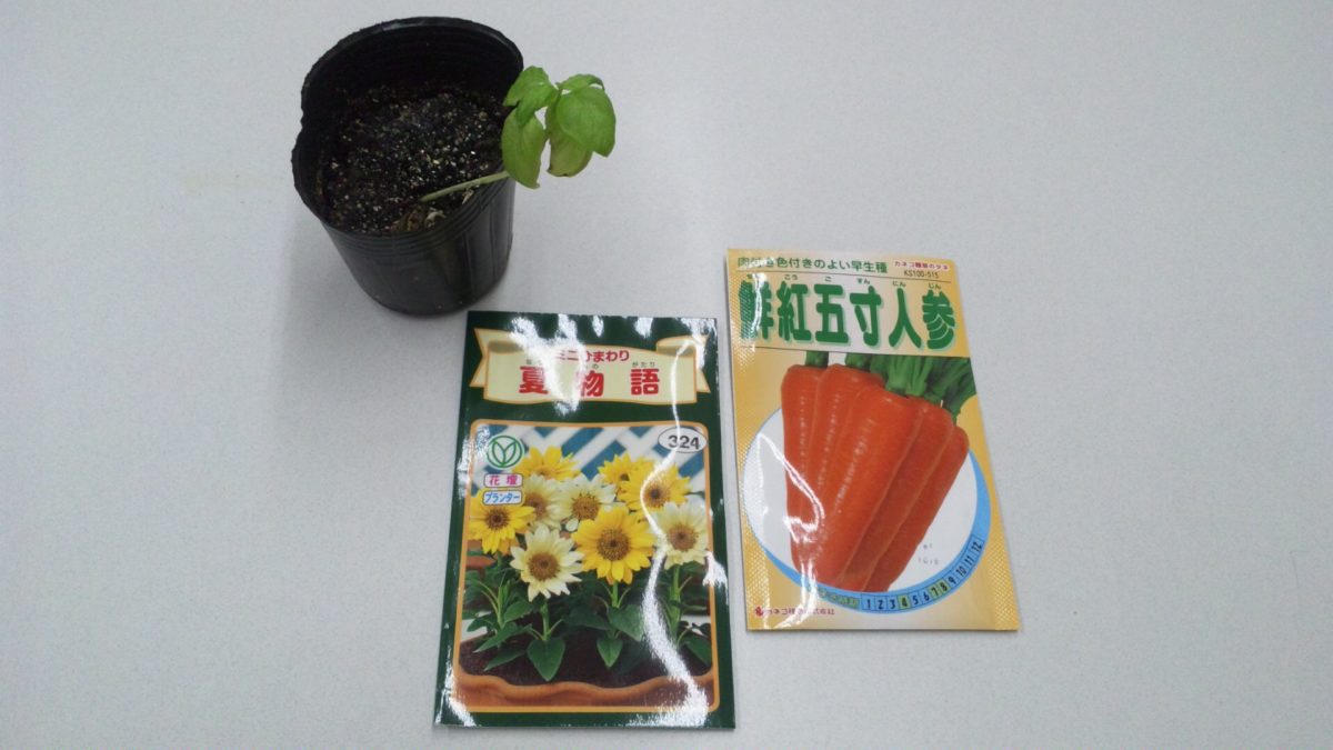 農業再開です！