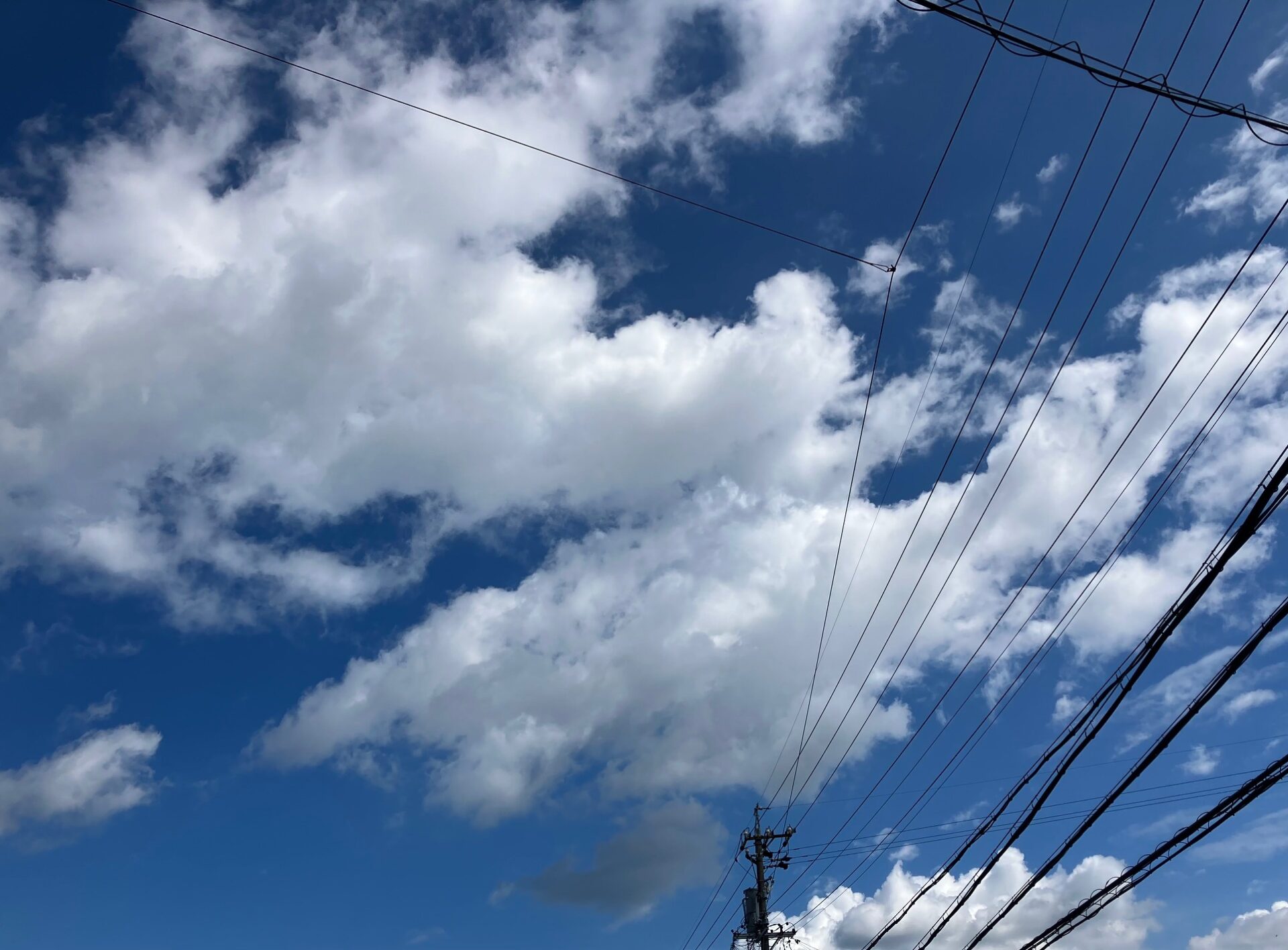 ～スタディー山手校～　★夏至・梅雨入り？★